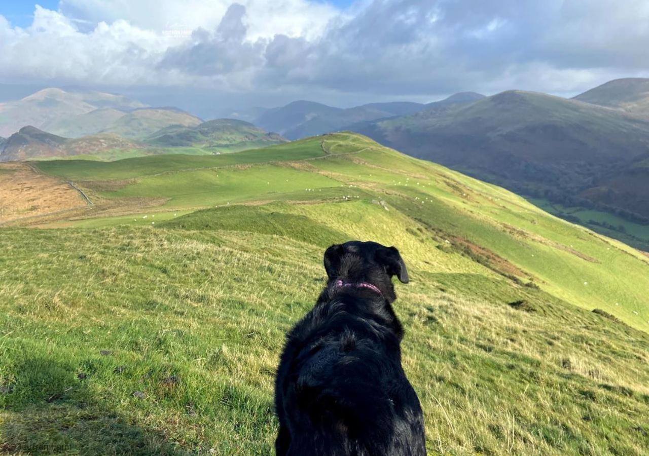 Bryn-crug The Barn At Geufron Farm - Dog Friendly - Nr Tywynヴィラ エクステリア 写真