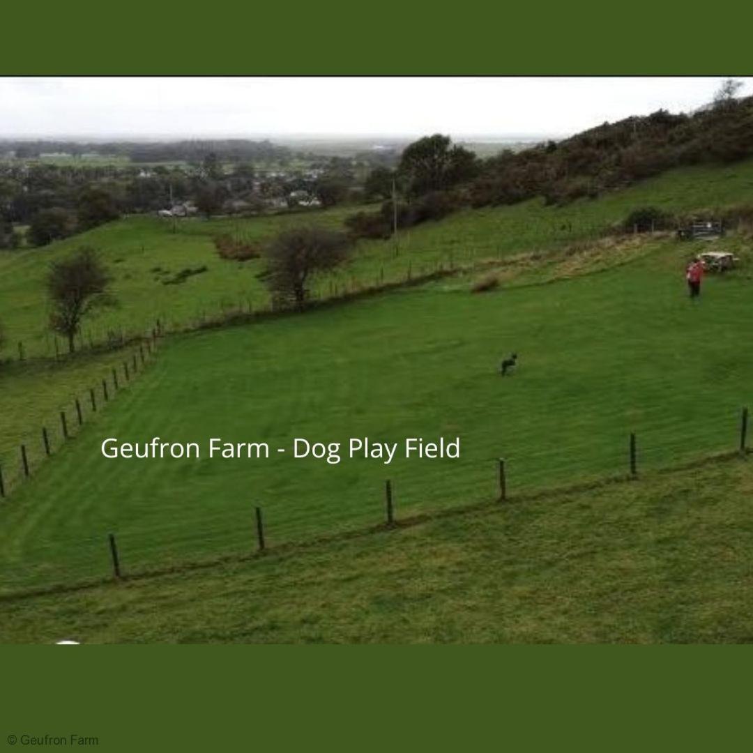 Bryn-crug The Barn At Geufron Farm - Dog Friendly - Nr Tywynヴィラ エクステリア 写真